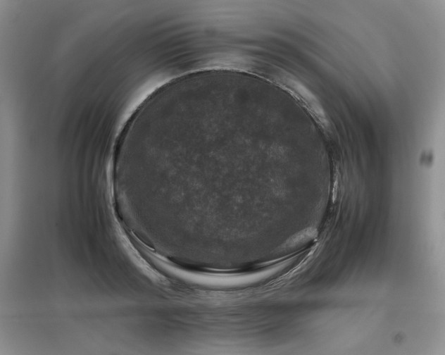 X0000097840796200803141207