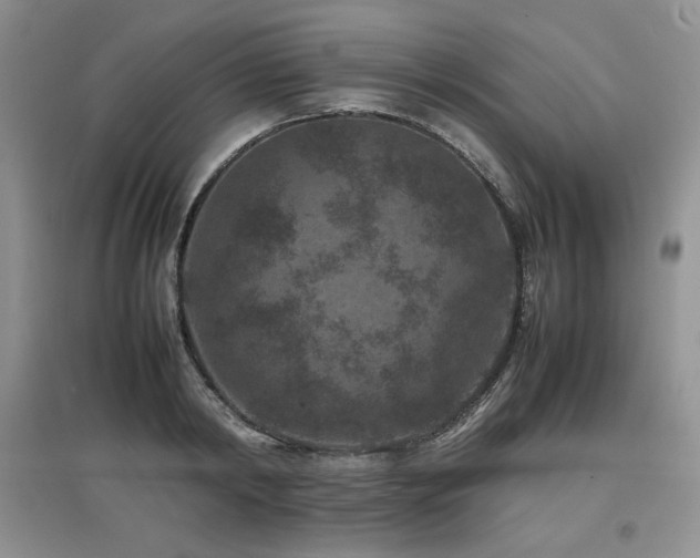 X0000097840798200803141207
