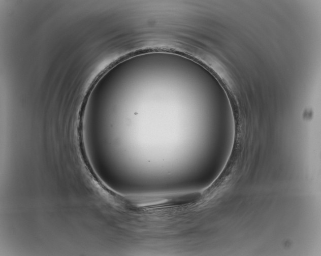 X0000097840799200803141207
