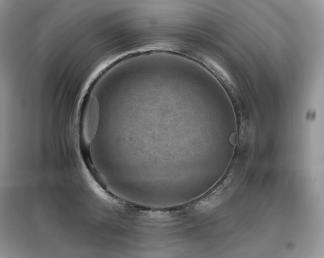 X0000097840800200803141207