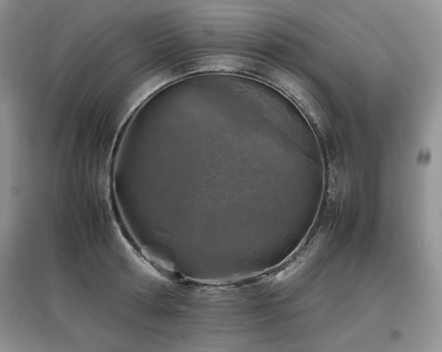 X0000097840802200803141207