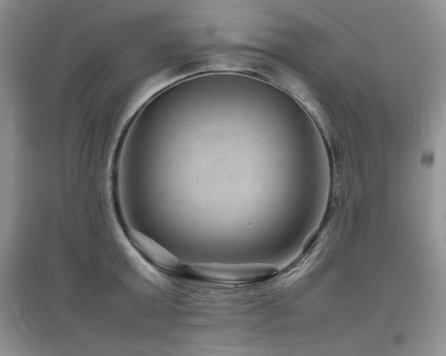 X0000097840803200803141207
