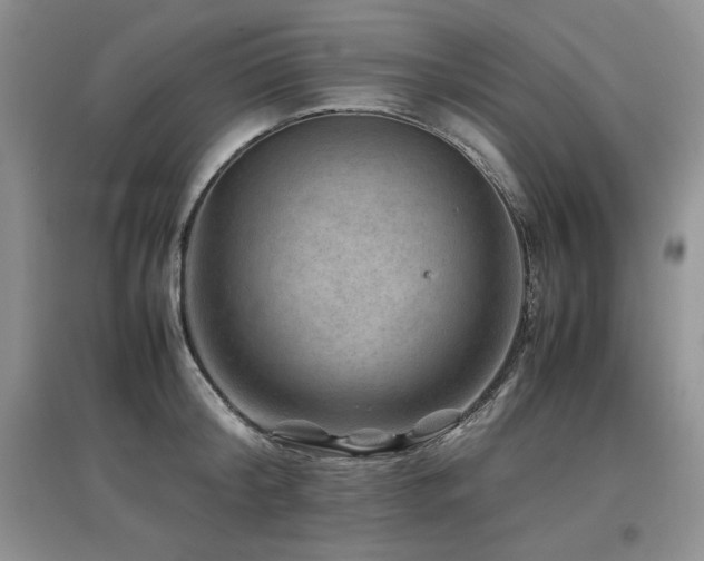 X0000097840804200803141207