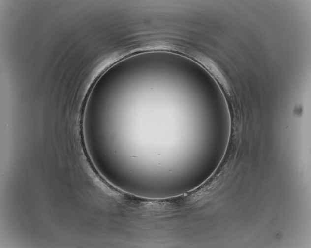 X0000097840805200803141207