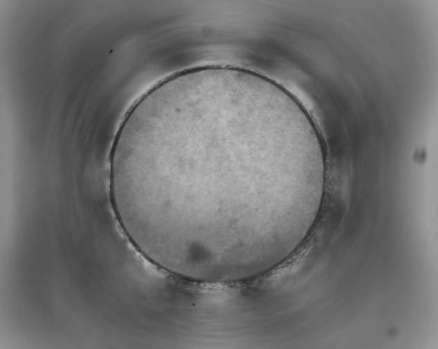 X0000097840807200803141207