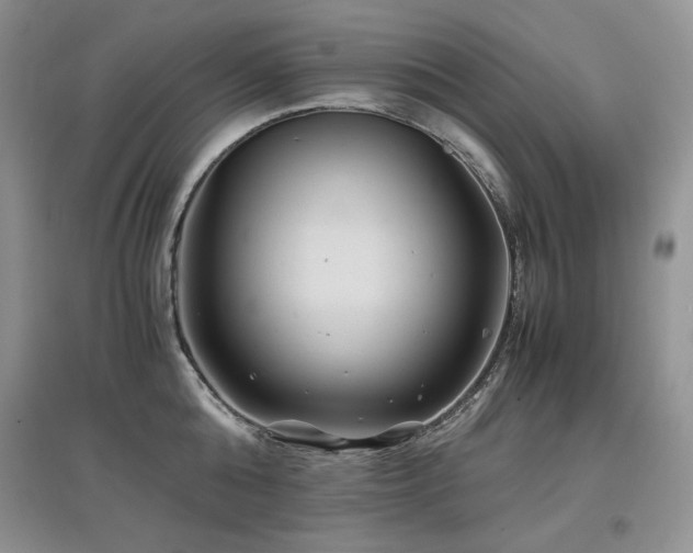 X0000097840808200803141207
