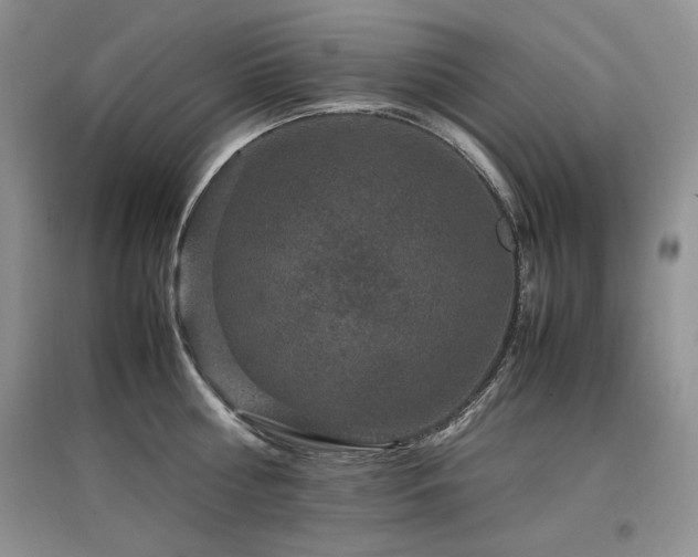 X0000097840810200803141206
