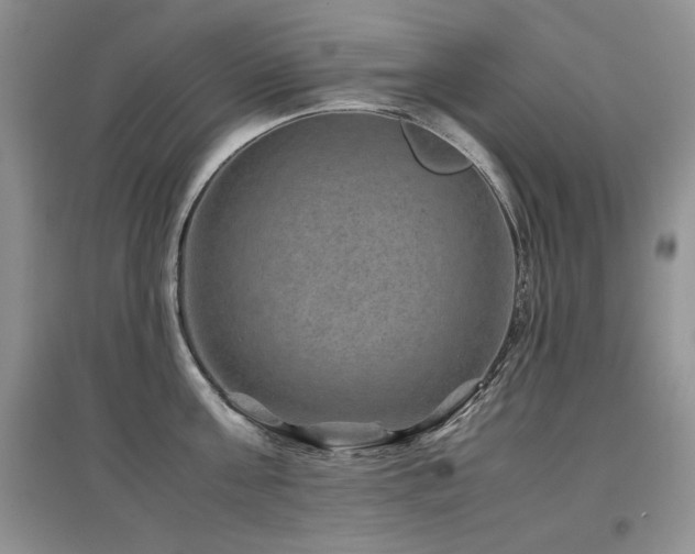 X0000097840811200803141206