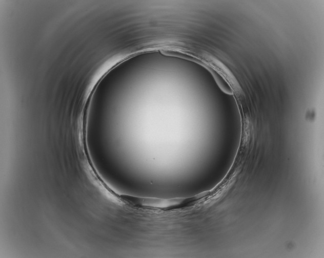 X0000097840812200803141206