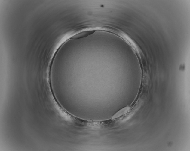 X0000097840813200803141206