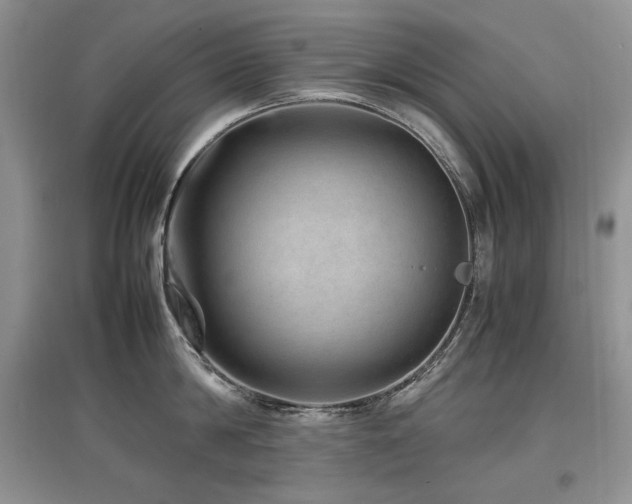 X0000097840814200803141206