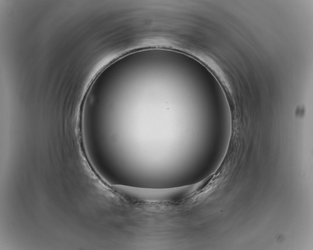 X0000097840815200803141206