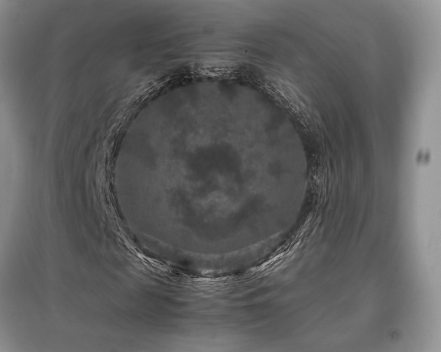 X0000097840817200803141206