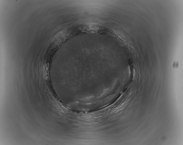 X0000097840818200803141206