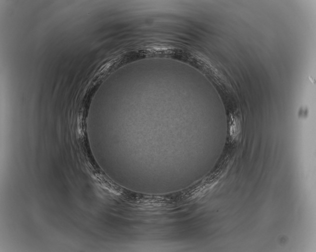 X0000097840819200803141206