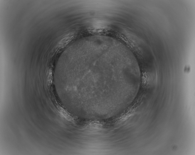 X0000097840820200803141206