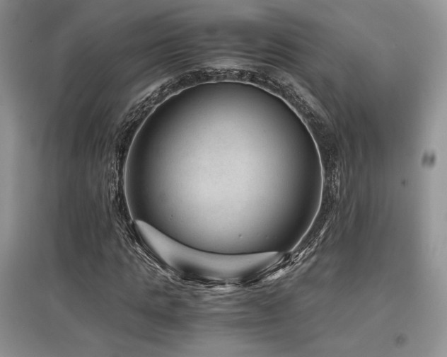 X0000097840821200803141206