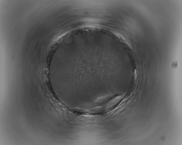 X0000097840822200803141206