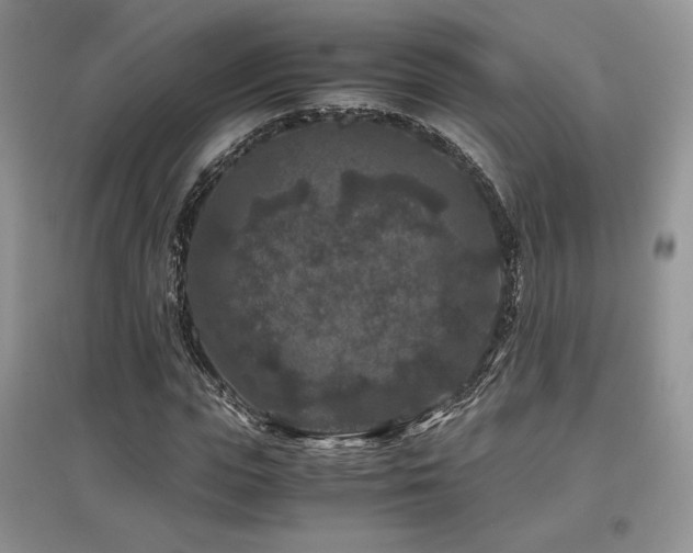 X0000097840823200803141206
