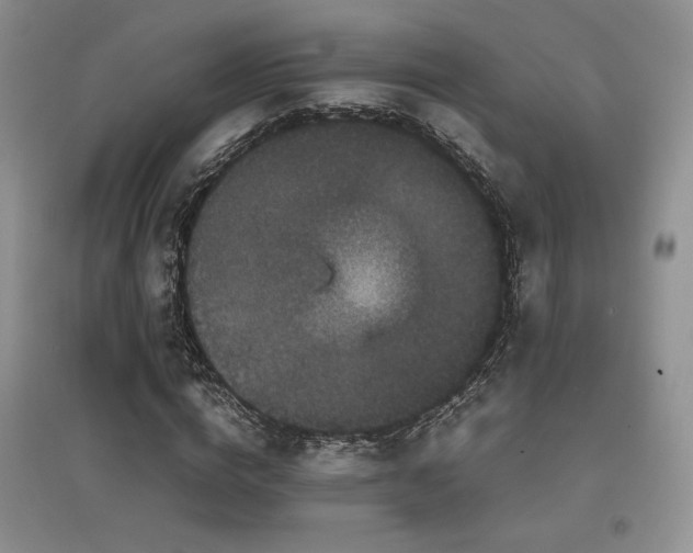 X0000097840824200803141206