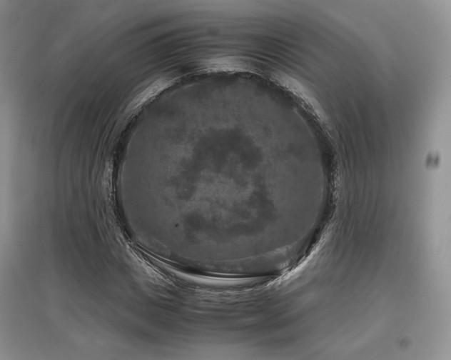 X0000097840825200803141206
