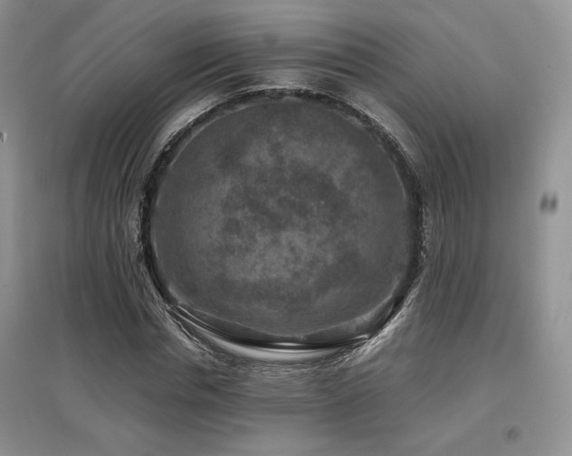 X0000097840826200803141206