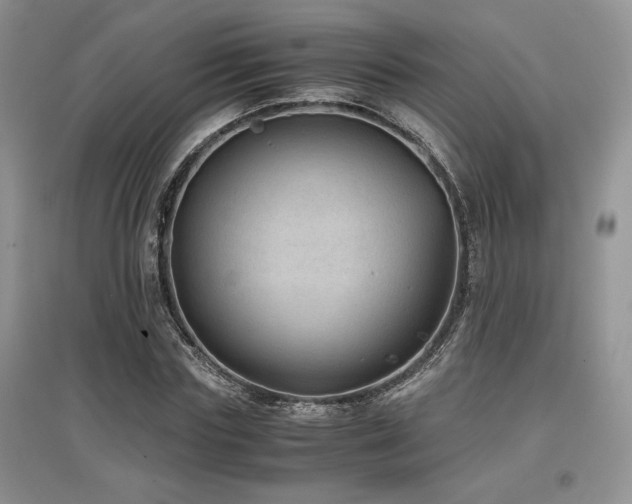 X0000097840827200803141206