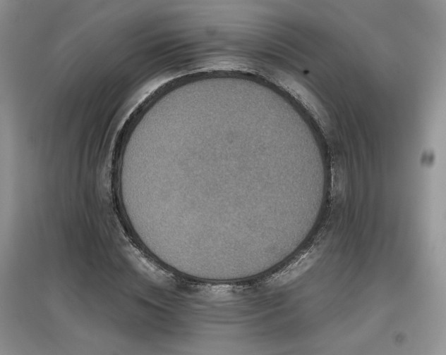 X0000097840828200803141206