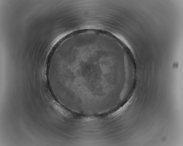 X0000097840830200803141206
