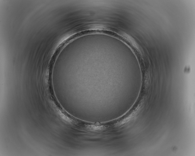 X0000097840831200803141206