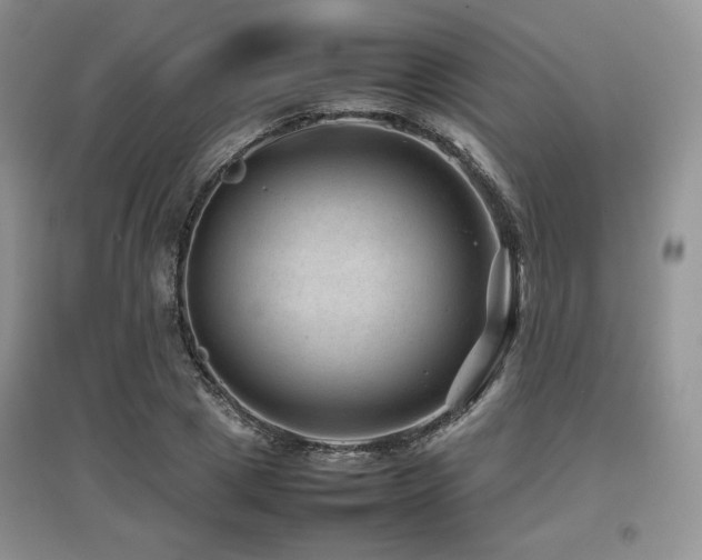 X0000097840833200803141206