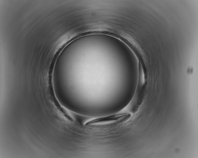 X0000097840834200803141206