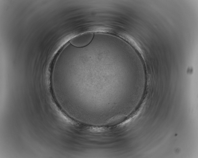 X0000097840835200803141206