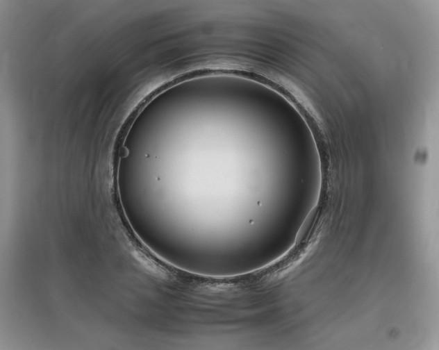 X0000097840837200803141206