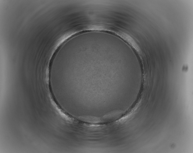 X0000097840839200803141206