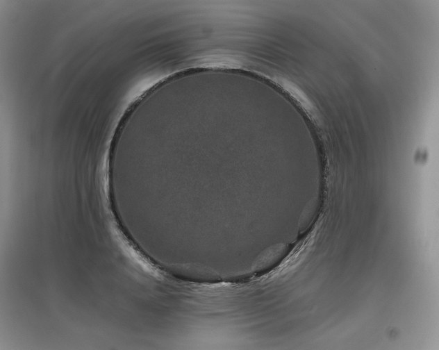 X0000097840840200803141206