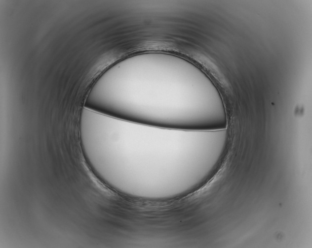 X0000097840841200803141206