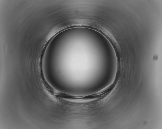 X0000097840842200803141206