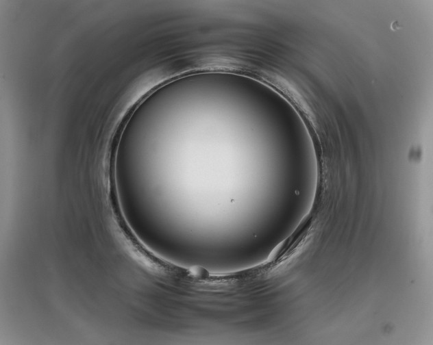 X0000097840843200803141206
