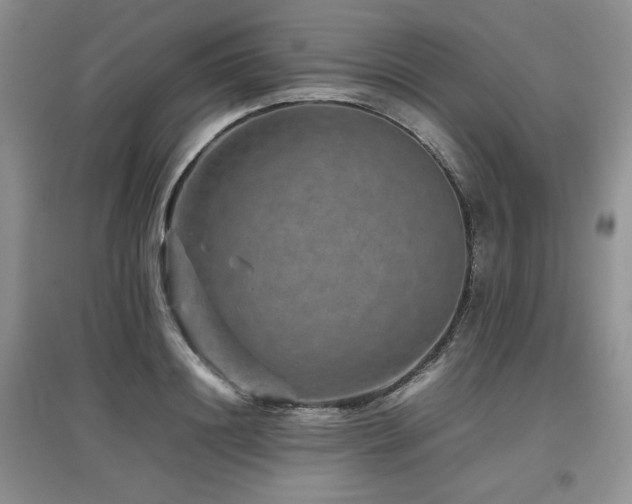 X0000097840844200803141206
