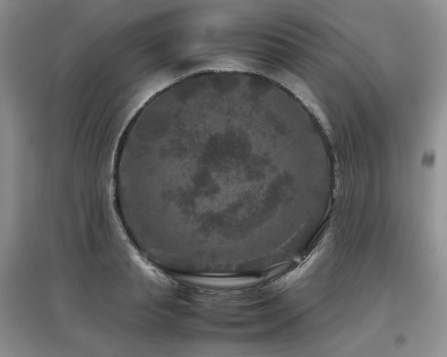 X0000097840845200803141206