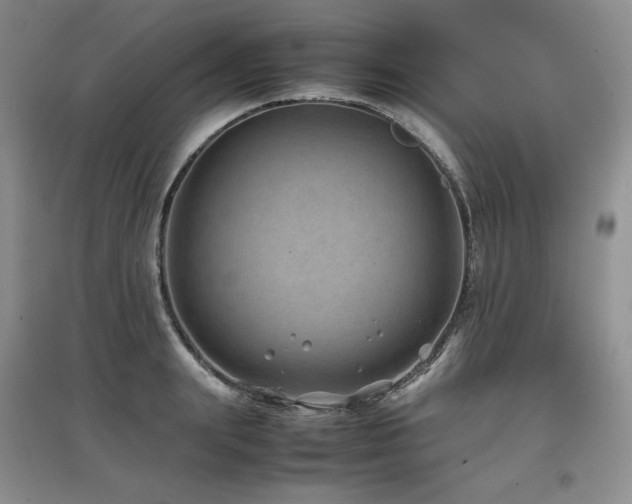 X0000097840847200803141206