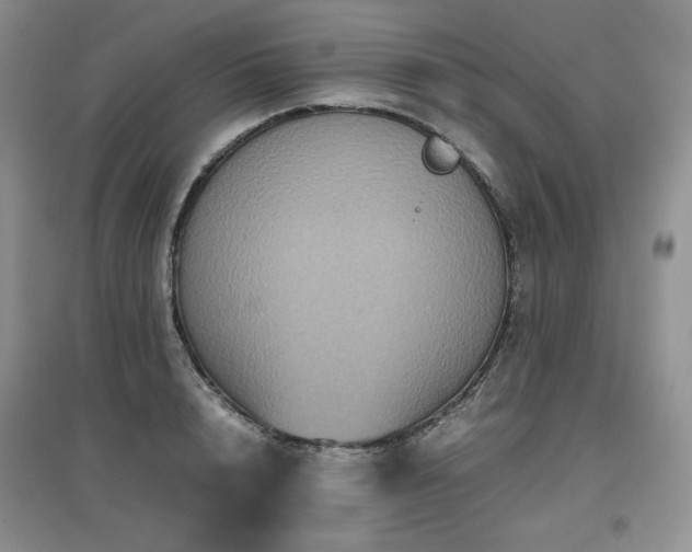 X0000097840848200803141206