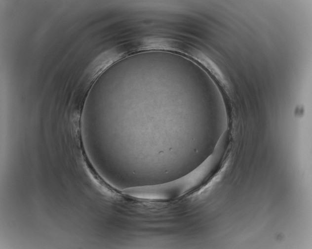 X0000097840849200803141206