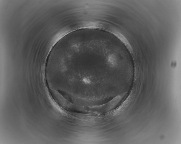 X0000097840850200803141206
