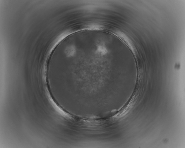 X0000097840851200803141206