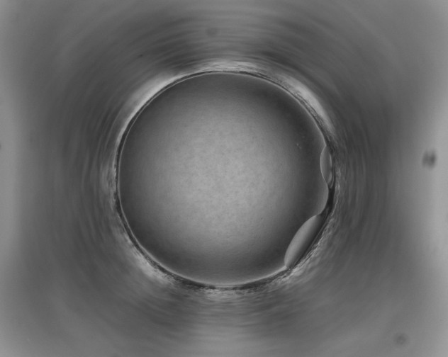 X0000097840852200803141206