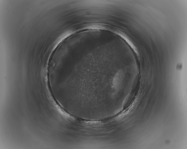 X0000097840853200803141206