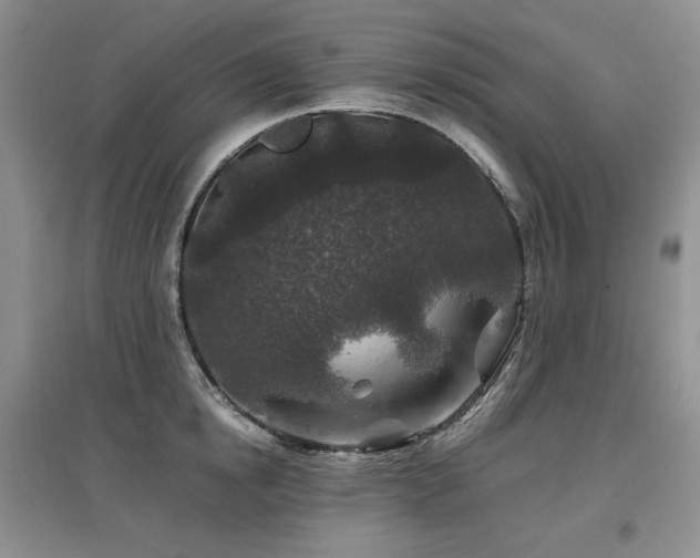 X0000097840854200803141206