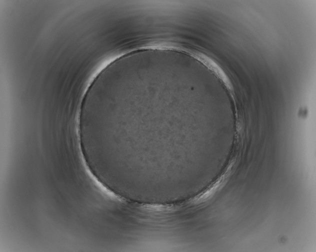 X0000097840855200803141206